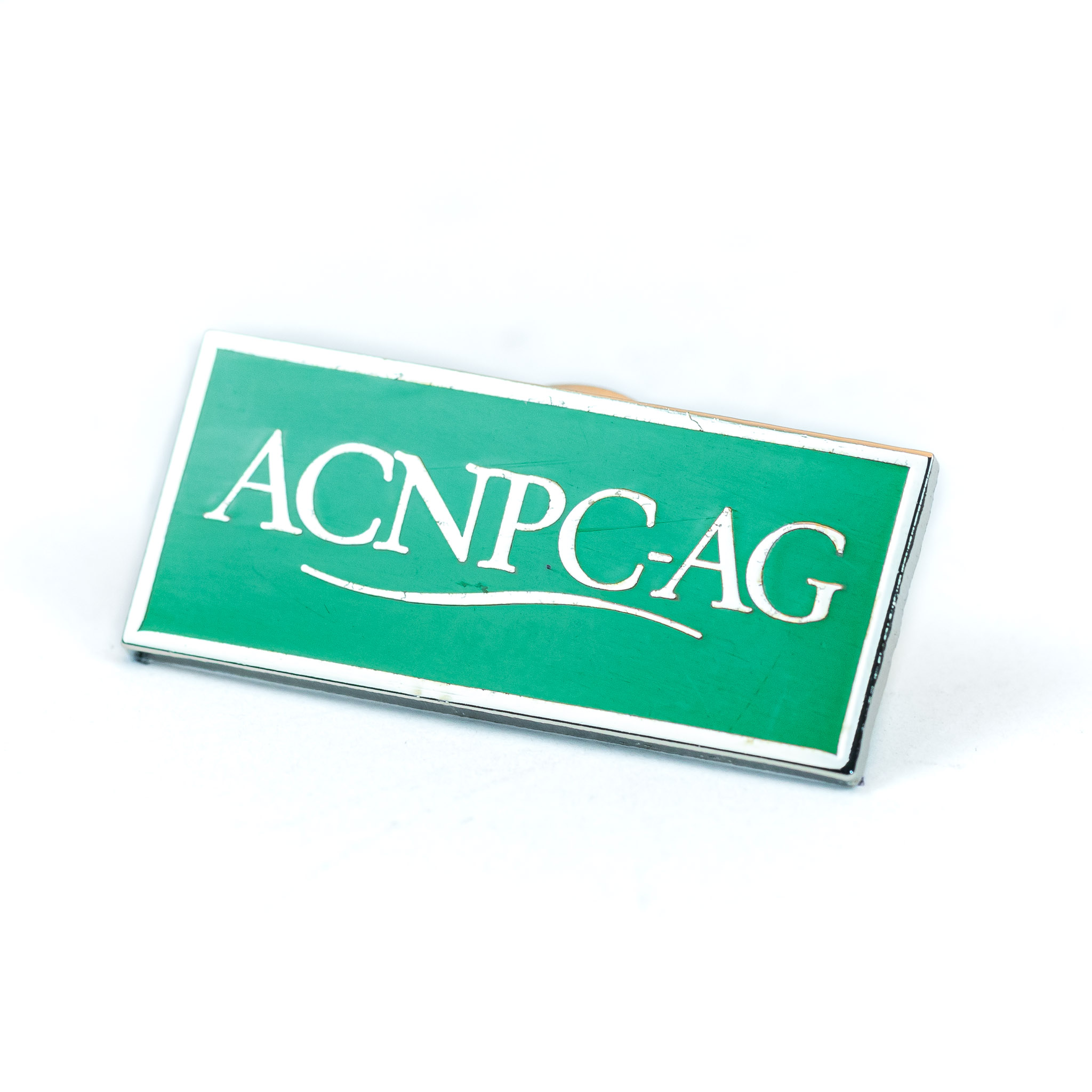ACNPC-AG Lapel Pin