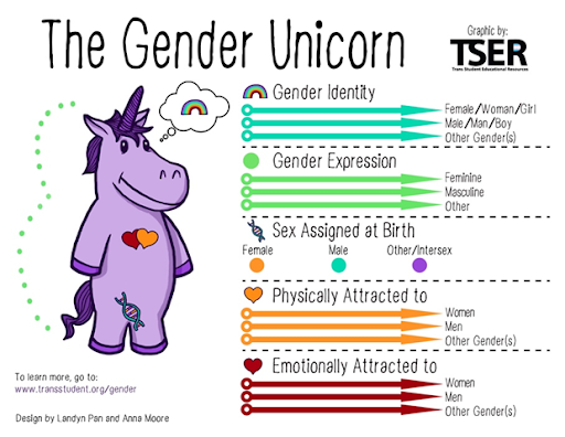 The Gender Unicorn chart